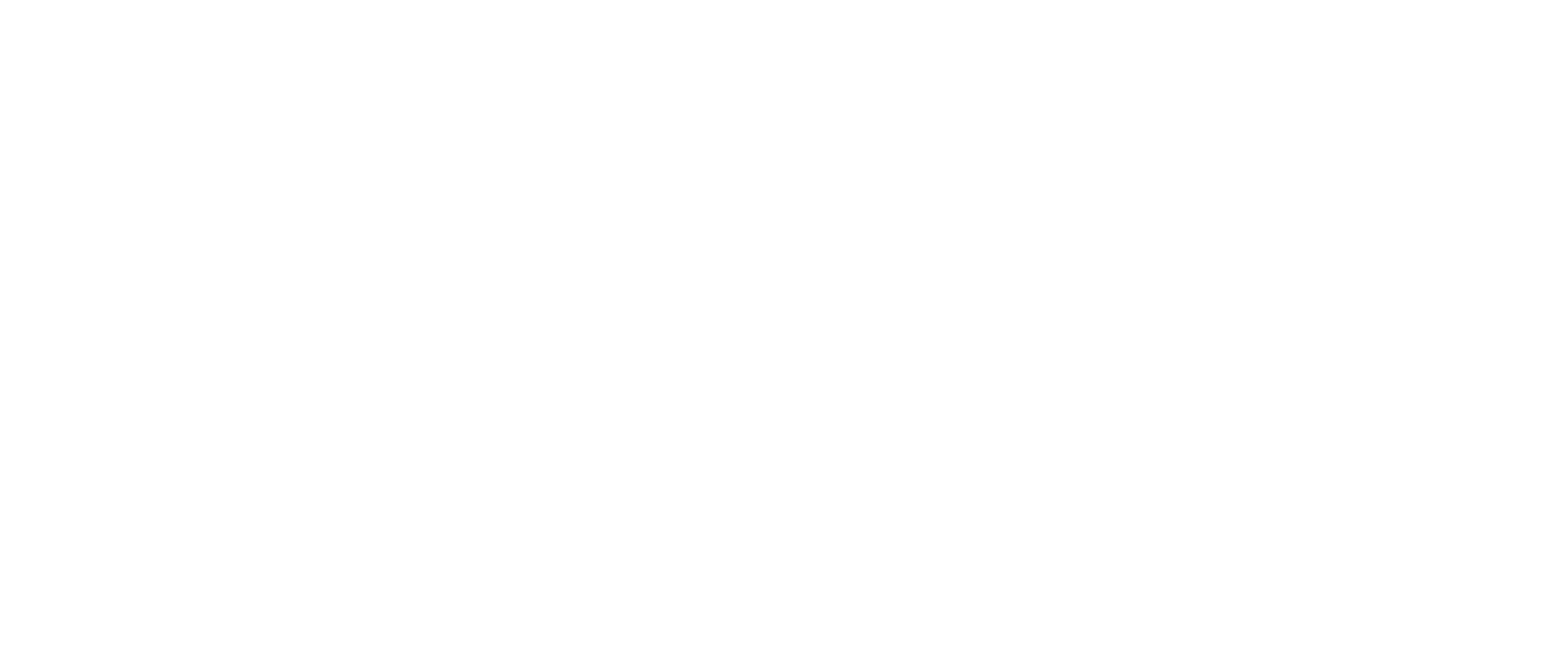 Leader white